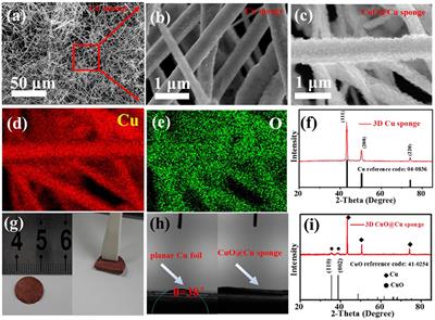 Li2O-Reinforced Solid Electrolyte Interphase on Three-Dimensional Sponges for Dendrite-Free Lithium Deposition